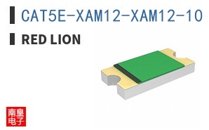 CAT5E-XAM12-XAM12-10 ͼƬ